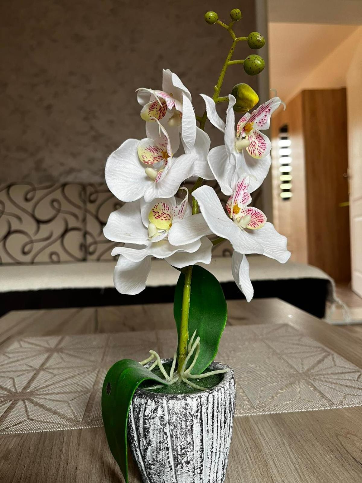 Apartmani Nikolic Вишеград Номер фото